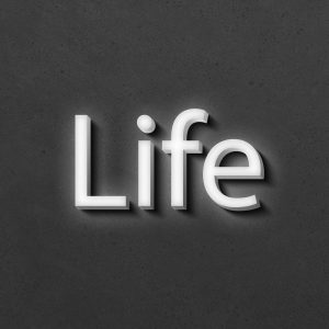 белая объемная надпись life