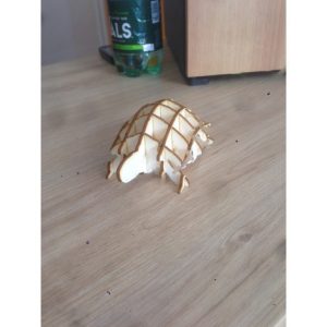 Детализированный макет черепахи для лазерной резки