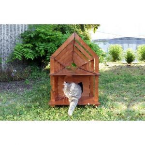 Макет домика для кошки с оригинальным дизайном