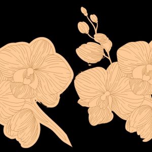 Макет лазерной резки с изображением орхидеи